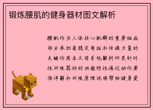 锻炼腰肌的健身器材图文解析