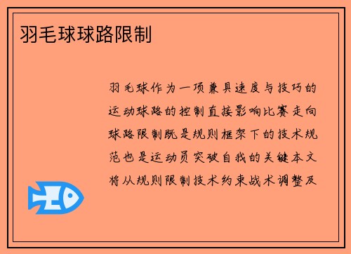 羽毛球球路限制
